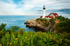 Wildflowers Surround Cliffs of Portland Head Light